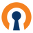 OpenVPN